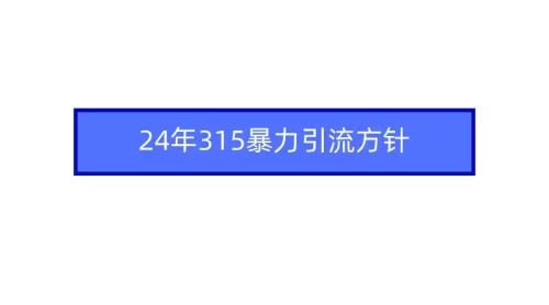 2024年315******方针