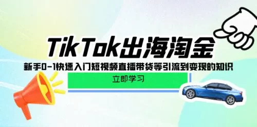 TikTok-出海淘金，新手0-1快速入门短视频直播带货等***到变现的知识