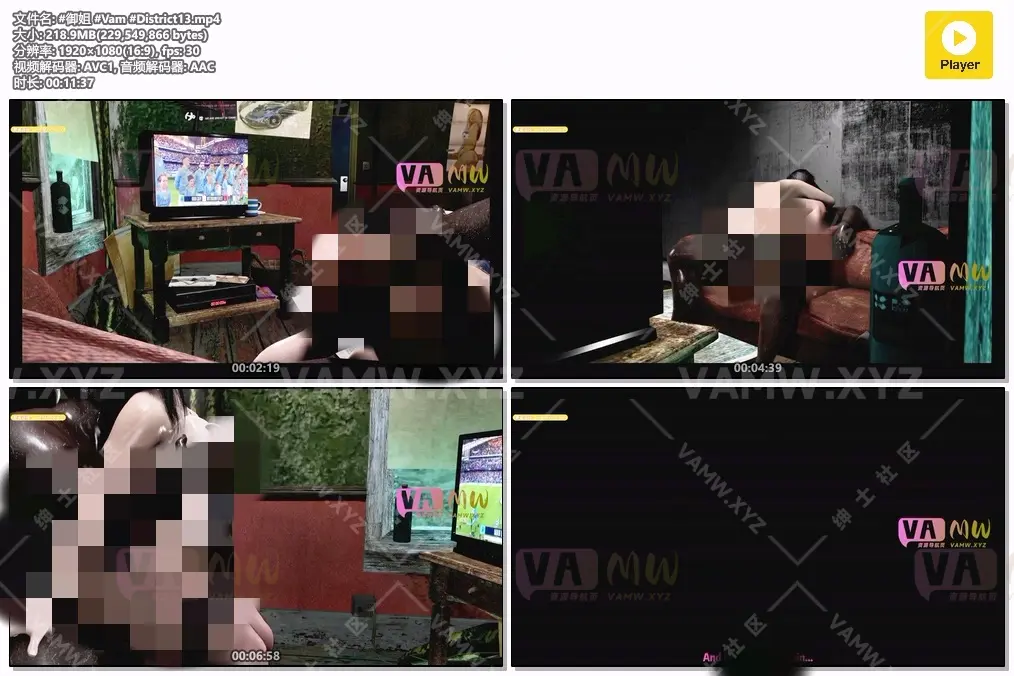 老婆背着自己和大老黑私下幽会被看见 11分37