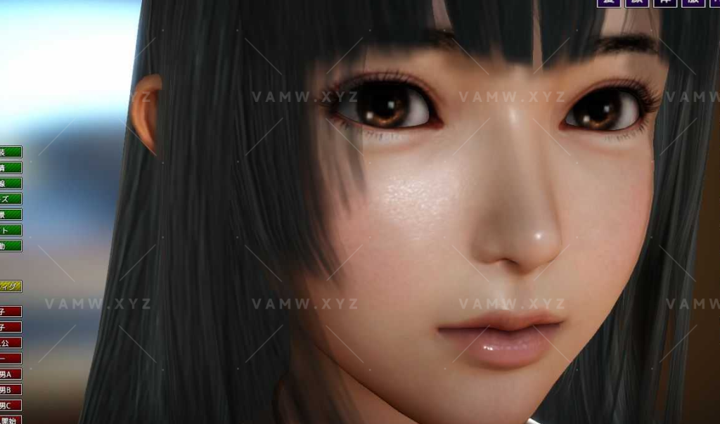 家族崩坏-Playhome 24.0豪华至尊整合版