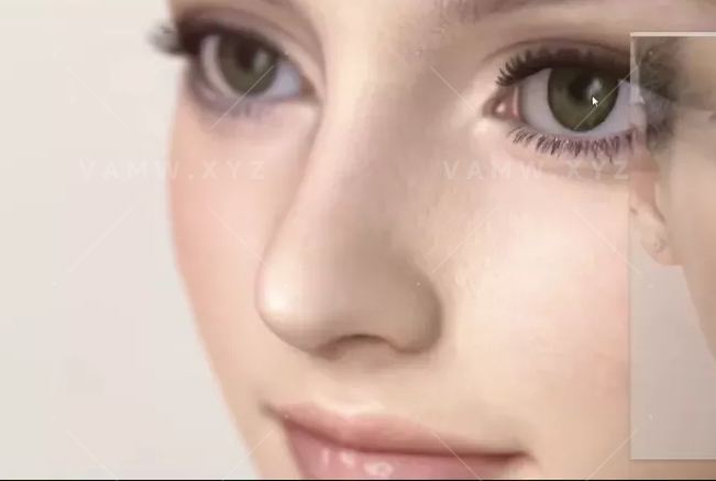 VAM用临摹软件穿透辅助进行捏脸视频教程